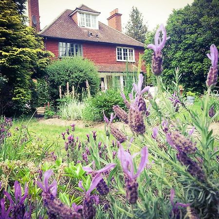Rosemead Guest House Claygate Eksteriør billede