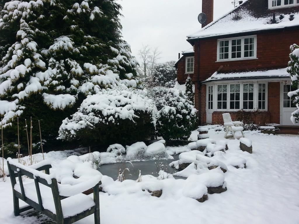 Rosemead Guest House Claygate Eksteriør billede