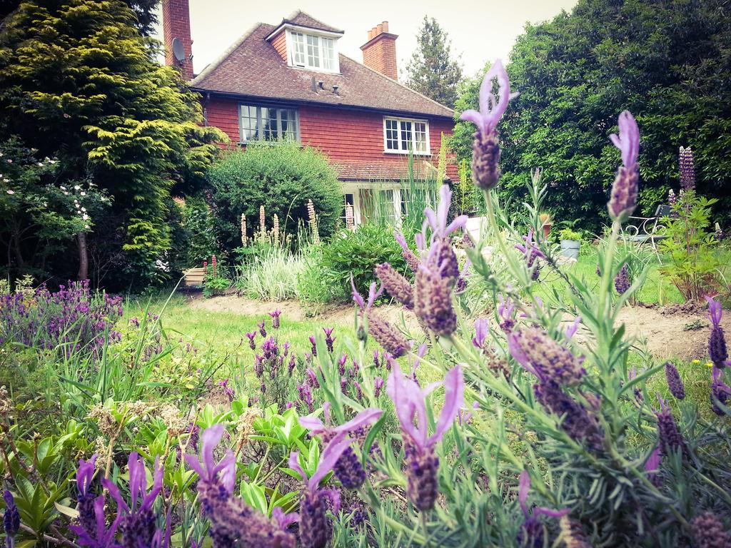 Rosemead Guest House Claygate Eksteriør billede
